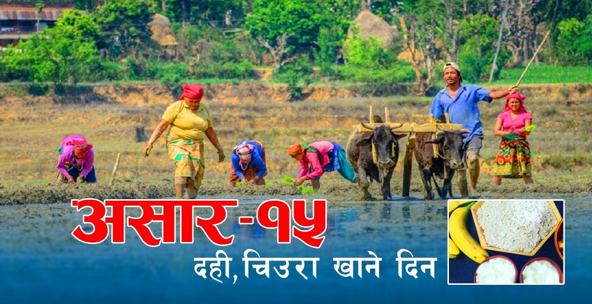 आज असार १५ : दही चिउरा र धान दिवससँगै नेपाली खेतिपर्वको उत्सव