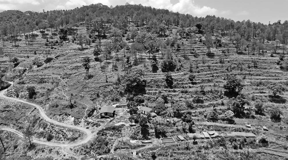डडेल्धुरा – पुख्र्यौली थलोमा नर्सरी र बाख्रापालनमा जुटे वन अधिकृत भट्ट