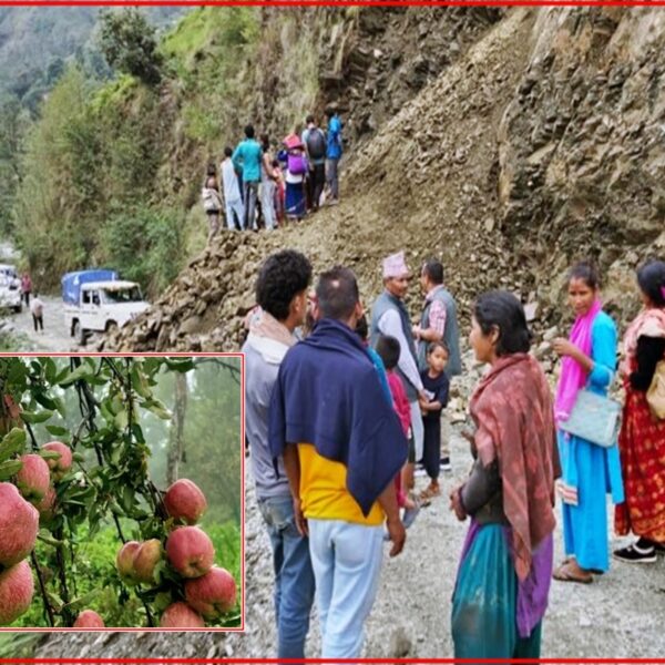 बाजुराका स्याउ कृषक चिन्तित: अवरुद्ध सडकले बजारसम्म पहुँच रोकियो