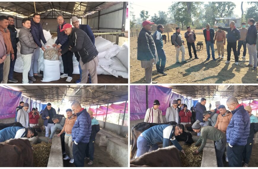 अत्यधिक चिसोमा गौशालाका पशु जोगाउन सरकार–स्थानीय तहको सहकार्य गोदावरी–७ को गौशालामा ६ टन पशु आहारा सहयोग हस्तान्तरण