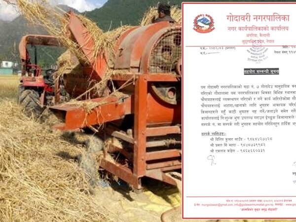 कैलालीको गोदावरी नगरपालिकाद्वारा गौशालाका पशुका लागि भुस सहयोग गर्न अपिल