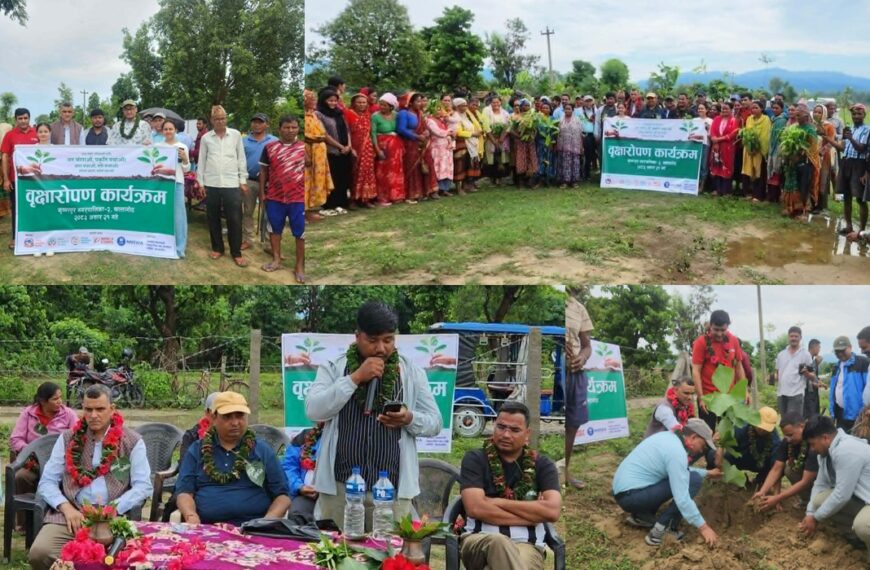जनहित महाकाली सामुदायिक वनको आयोजनामा खल्लागोठ मा वृहत् वृक्षारोपण कार्यक्रम सम्पन्न